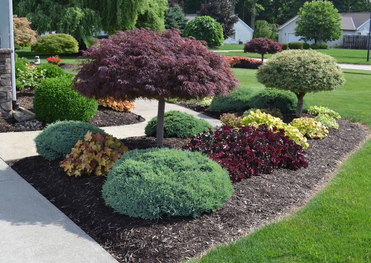 Professional garden landscape design