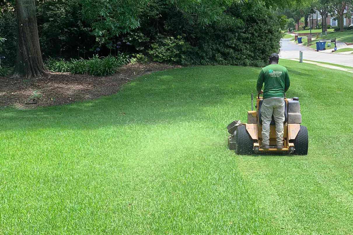 Professional lawn mowing service